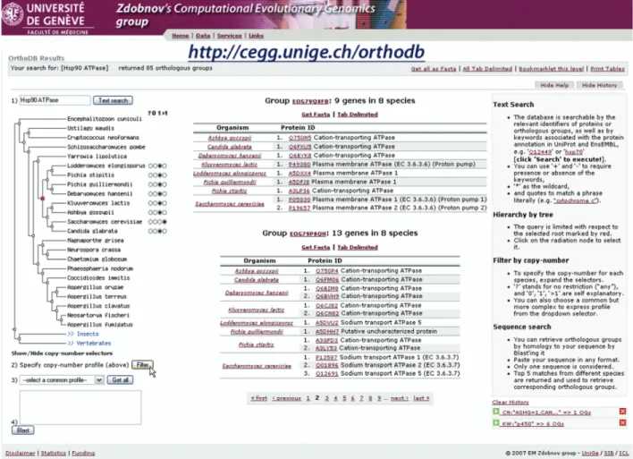 Figure 1. Example screenshot of the OrthoDB web interface (http://cegg.unige.ch/orthodb)