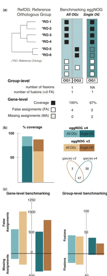 Figure 2. Benchmarking and comparing eggNOGv4 and eggNOGv3.
