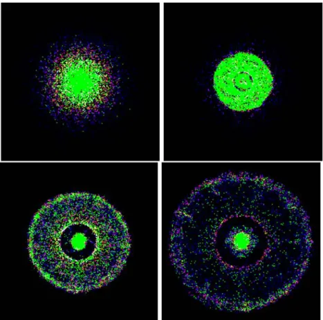 Figure 11. Newly formed stars (filled circles, green in the online version) are superimposed to the density map of old stars (the scale is the same as Fig