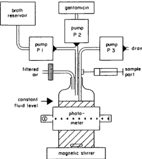 Figure 1. Single set of the in-ntro model. Pump speed of pump PI was adjusted to produce the desired elimination half-life, whereas pump P3 (drain) was suctioning at a higher flow rate to maintain the constant volume and to provide the ventilation of the h
