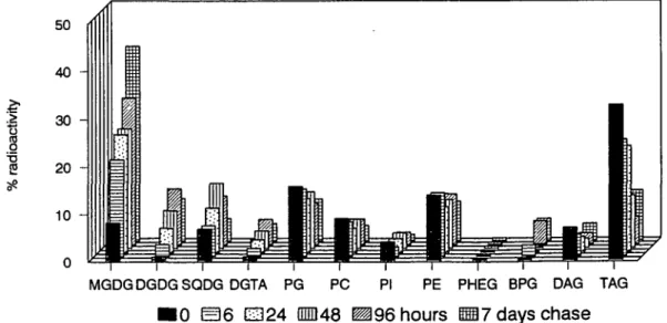 Fig. 1 Incorporation of [1- 14 C] 18:1 into lipids of Ectocarpus fasciculatus.