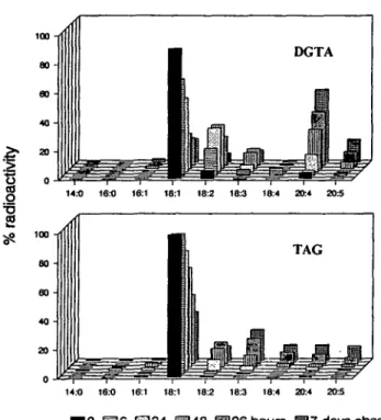 Fig. 6. In TAG, a shift of label from 18:1 to almost all kinds of polyenoic fatty acids was observed.