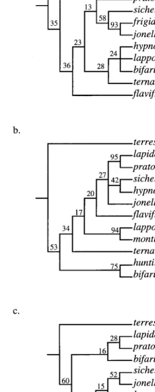 Fig. 1. Relationship of the 10 Pyrobombus species to each other. Trees a-c were obtained by parsimony analysis of the cytochrome b, COI and combined sequences, respectively.