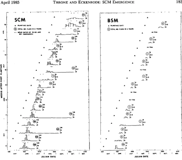 Fig. l. Emergence of SCM (left) and (right) BSM in 1981 from bean plots planted once each week from May through August 1981, Geneva, N.Y