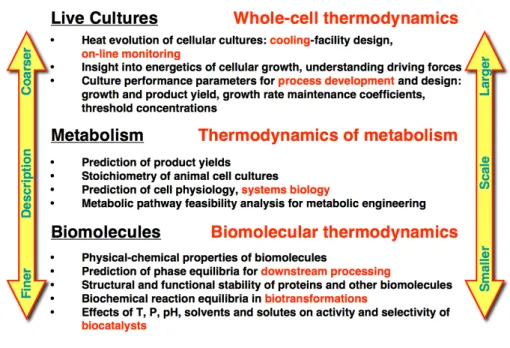 Figure 1. Subdividing biothermodynamics into three areas according to the scale at which the biological system is described