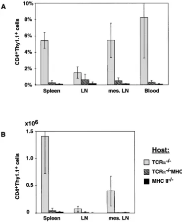 Fig. 4. TCR V β repertoire and CD44 phenotype of donor-derived T cells in reconstituted TCR α –/– mice