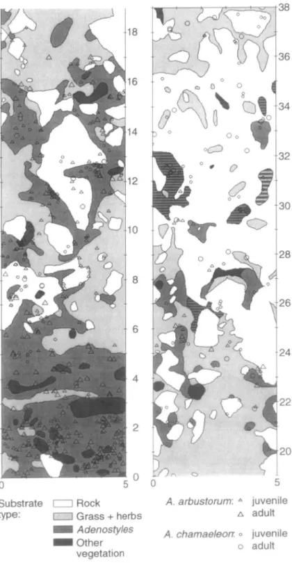 Figure L Maps showing the spatial distribution of rock surface and patches of different plant species and the positions of A