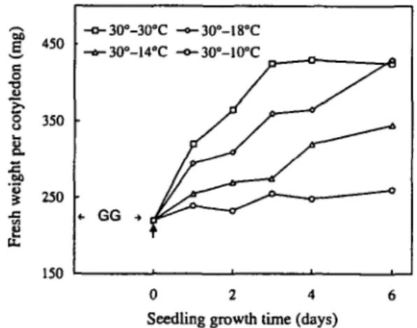 Fig. 1 The effect of low temperatures on the fresh weight of de- de-veloping squash cotyledons