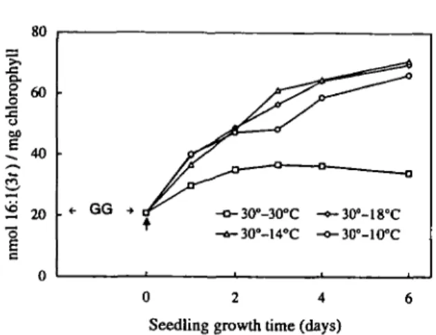 Fig. 8 Effect of low temperatures on the ratio of 16:1(30 con- con-tent in thylakoid phosphatidylglycerol and chlorophyll as a  func-tion of growth time in developping squash cotyledons