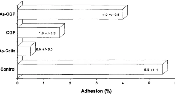 Fig. 2. Adhesion of  14 C-labelled S.sanguis OMZ 9 to HBEC. The effects of either cell desialylation (As-Cells) or 10 mg/ml of CGP and As-CGP arc shown.
