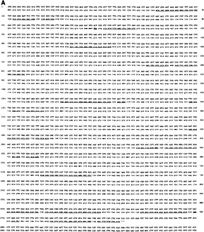 Fig, Z (A) Nucleotide sequence of pig liver glucosidase II and the deduced amino acid sequence