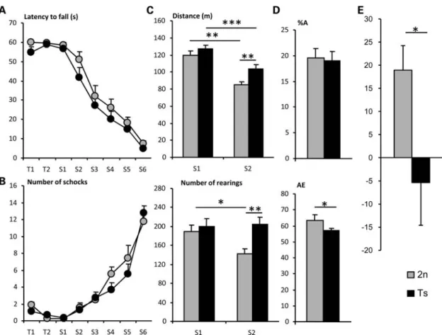 Figure 2. Motor activity and behavioral analysis of Ts1Yah mice. Rotarod (A) Mean + SEM of the latencies to fall from the rotarod and (B) number of shock received on the treadmill by Ts1Yah (black circles) and wild-type males (gray circles) during training