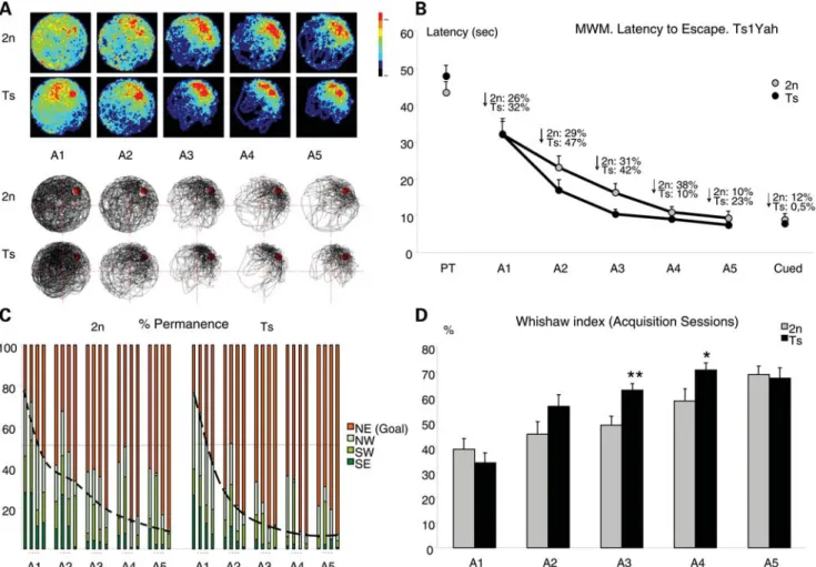 Fig. 3C), thus indicating more efficient learning. Moreover, estimation of other more specific learning indexes such as the Whishaw index (defined as percentage path inside the optimal corridor to reach the platform) indicated the use of more efficient lea