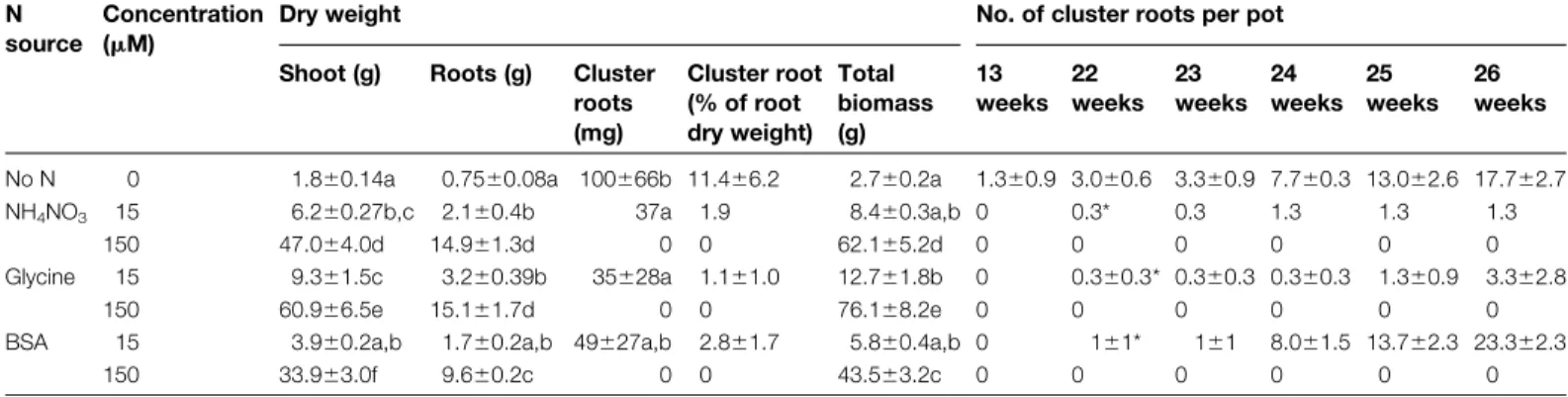 Fig. 1. Roots of 9-month-old hydroponically grown Hakea actites initially cultivated without N and then grown for 26 weeks with different N forms