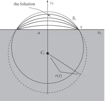 Figure 7. A planar cross-section of the foliation fS t : t A 0; y ½g.