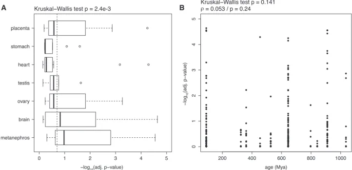Figure 5. Expression divergence of miRNAs between human and mouse. (A) Boxplot of expression divergence of miRNA families in different tissues between human and mouse