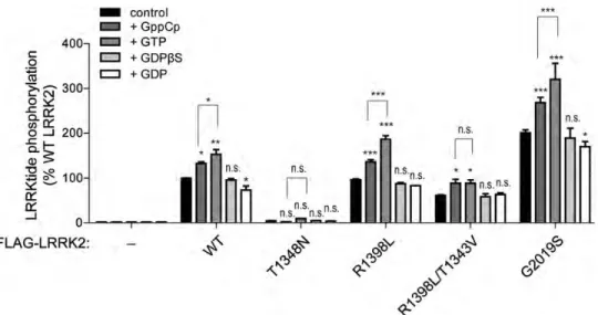 Figure 5. Role of GTPase activity in guanine nucleotide-dependent kinase activation of LRRK2