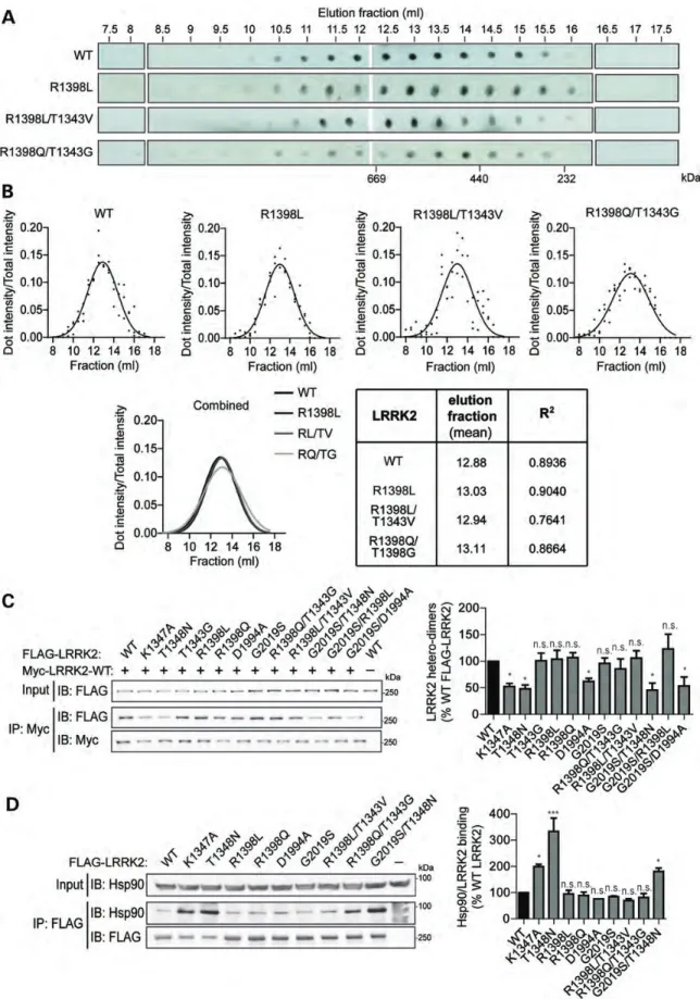 Figure 6. GTP binding but not GTP hydrolysis influences the structural properties of LRRK2