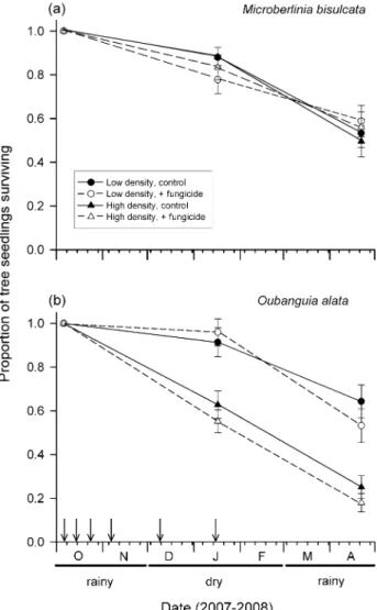 Figure 1. Mean ( ± SE) proportions of established seedlings of Microberlinia bisulcata (a) and Oubanguia alata (b) trees surviving at the Isangele Road, Korup, Cameroon, in an experiment that manipulated their density and exposure to fungal pathogens over 