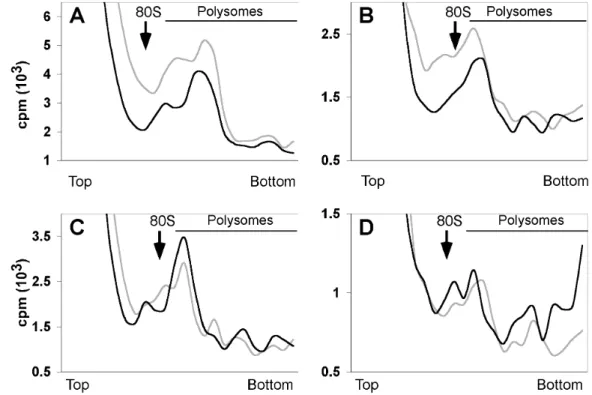Figure 5. AluRNP and Alu RNA act at the level of translation initiation. (A) Polysomes profile of wheat germ translation reactions programmed with cyclin mRNA in presence (black) or absence (grey) of 100 nM Alu RNP