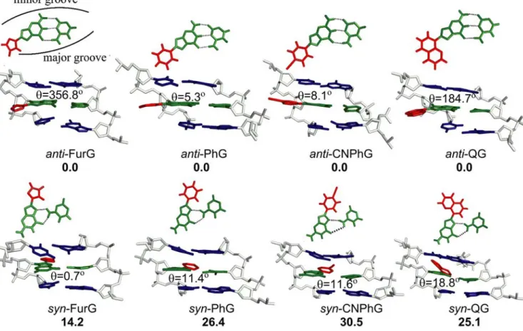 Figure 4. Representative structures corresponding to lowest energy anti and syn conformations for the studied adducts paired against C