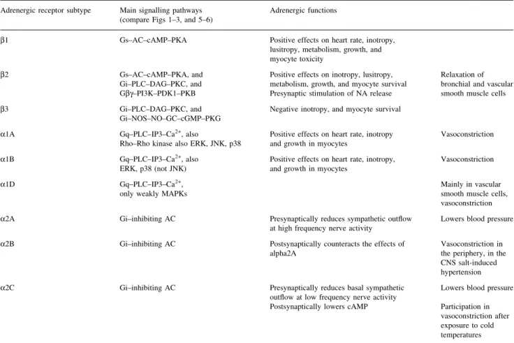 Table 1 Main adrenergic receptor subtype signalling and functions in nervous, cardiac and vascular tissues