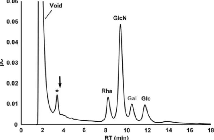 Fig. 2. Monosaccharide analysis of Mimivirus proteins. Protein extract was subjected to acid hydrolysis and the monosaccharides were chromatographed by HPAEC-PAD