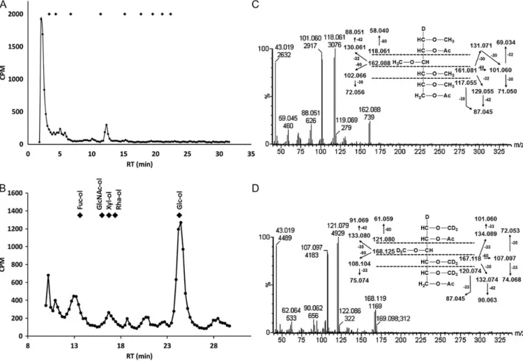 Fig. 3. Mimivirus β -elimination products and reducing end analysis. (A) Mimivirus O-glycans were labeled with 3 H during the reductive β -elimination reaction and chromatographed by Dionex CarboPac PA200 HPAEC