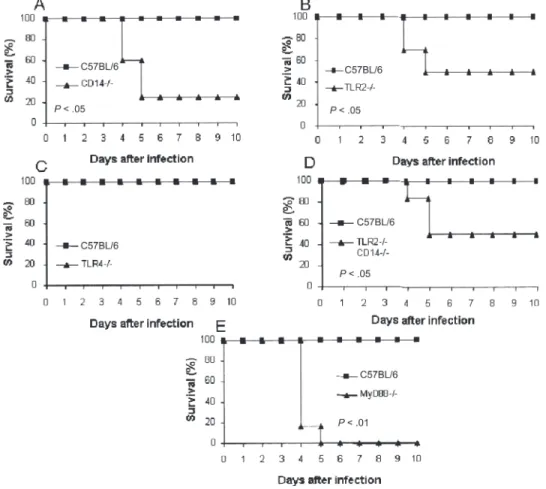 Figure 2. Reduced resistance of CD14-deficient (⫺/⫺) mice infected with Listeria monocytogenes