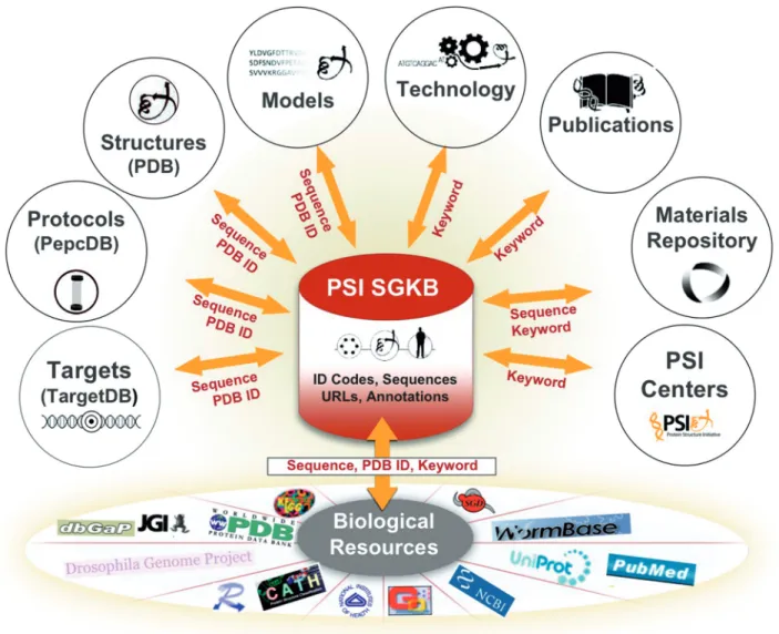 Figure 1. A functional view of the PSI SGKB resource. The PSI SGKB portal database is comprised of ID codes, sequences, external URLs and annotations