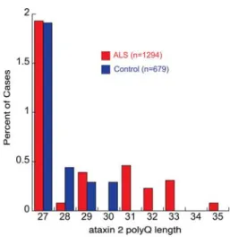 Figure 1. Distribution of ataxin 2 polyQ repeat lengths in ALS patients and healthy controls