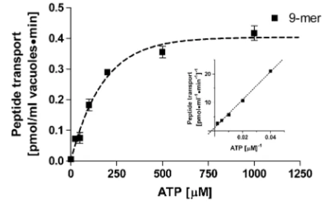 Fig. 4. Inhibition of 9 aa and 27 aa peptide uptake rates as a function of the orthovanadate concentration