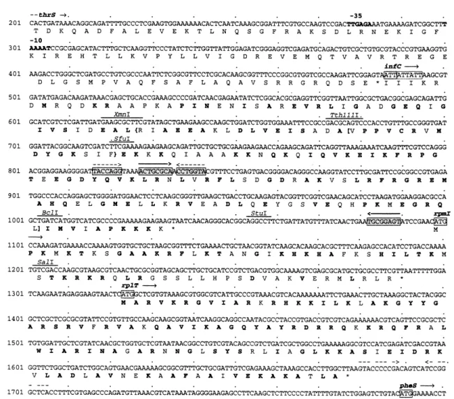 Fig. 2. Nucleotide sequence of the infC-rpmI-rplT operon of P. £uorescens CHA0 and deduced amino acid sequences of its protein products