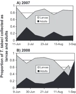 Fig. 2. Relative proportions of larvae to adult T. tabaci in onion Þelds over time in 2007 (A) and 2008 (B).