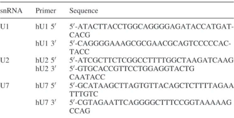 Table 2. Primers for RT–PCR of U1, U2 and U7 snRNAs snRNA Primer Sequence