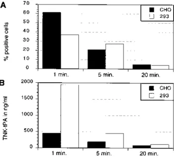 Figure 1. Transient expression of  β -gal or TNK–tPA in HEK-293 and in CHO cells transfected with a calcium phosphate–DNA precipitate complex