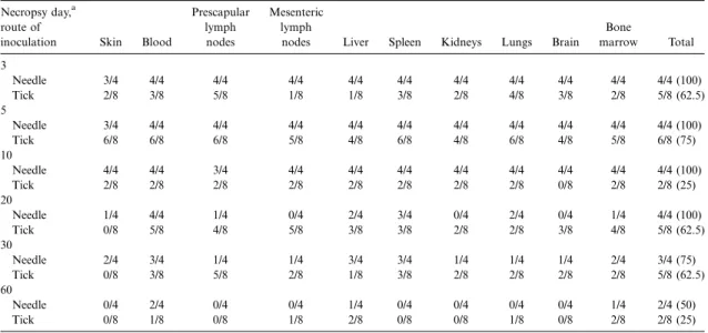 Table 1. Agent of human granulocytic ehrlichiosis polymerase chain reaction (PCR) results from tissues of needle- and tick-inoculated infected mice, at various time intervals after inoculation.