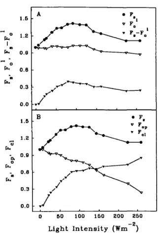 Fig. 4 The time course changes in the steady state level of fluo- fluo-rescence yield from modulated measurement; F, (A), direct  fluores-cence; F, (dir) (B) and the yield  ( Q obtained from F, (dir)/I where I is the light intensity (D)