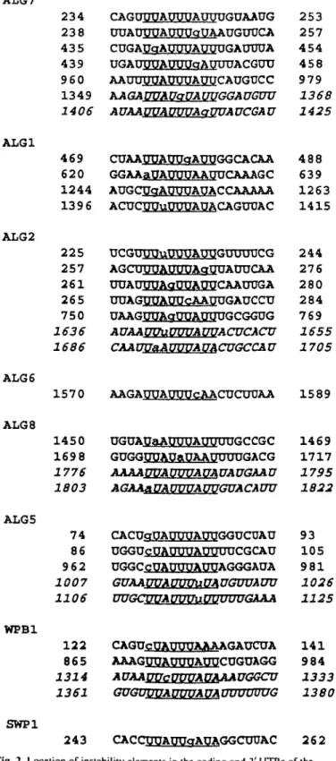 Fig. 2. Location of instability elements in the coding and 3' UTRs of the dolichol pathway and oligosaccharyltransferase gene transcripts