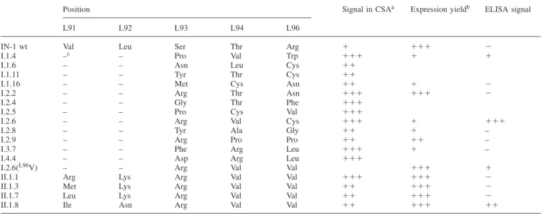 Table I. Mutants obtained from affinity maturation of the IN-1 F ab fragment