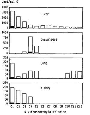 Fig. 3. DNA methylation in liver, oesophagus, lung and kidney of male F344 rats following a single oral dose (0.1 mmol/kg each) of homologous A'-nitrosomethylalkylamines ranging from A/-nitrosodimethylamine (Cl) to A&lt;-nitrosomethyldodccylamine (C12)