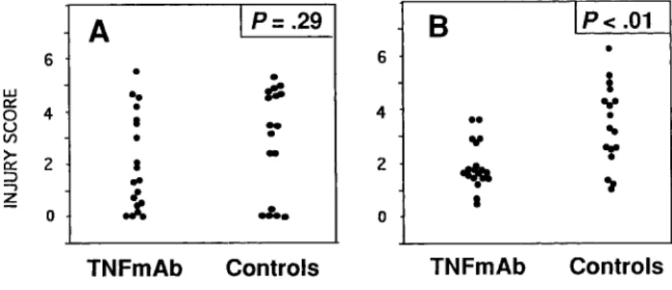 Figure 3. Injury scores in cortex (A) and hippocampus (B) of infant rats with group B streptococcal meningitis treated intracisternally with monoclonal antibody (MAb) against  TNF-a or saline (controls)