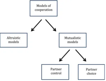 Figure 1. Evolutionary models of cooperation