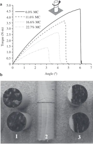 Figure 5 Torsion test.