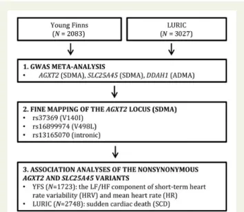 Figure 1 Study population and flow. Flow diagram depicting the cohorts and numbers of participants