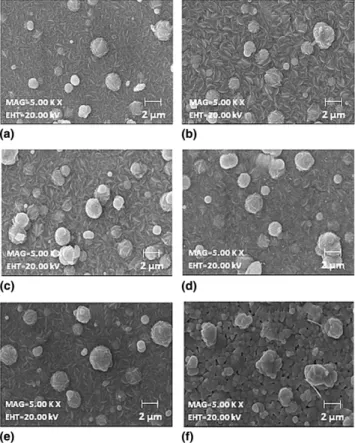 FIG. 2. The SEM micrographs of the CdS films (a) as-deposited and at (b) 423 K, (c) 523 K, (d) 623 K, (e) 723 K, and (f) 823 K.