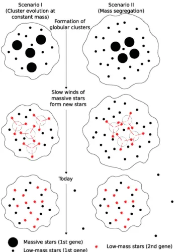 Figure 1. Schematic evolution of a globular cluster: a ﬁrst generation of stars is born from a giant molecular cloud