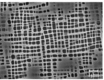 Figure 4. Images of sections of the model with ~a! ~w ⫽ 08, u ⫽ 78! and ~b! ~w ⫽ 58, u ⫽ 108!