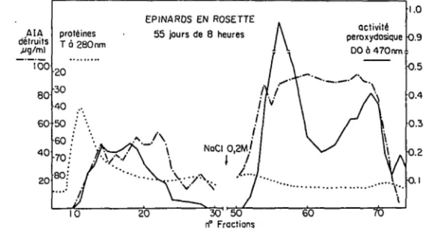 Fig. 1. Extrait prot Unique d'epinards cultives en jours courts, separi sur un gel Sephadex G-100 et SE-Sephadex C-50