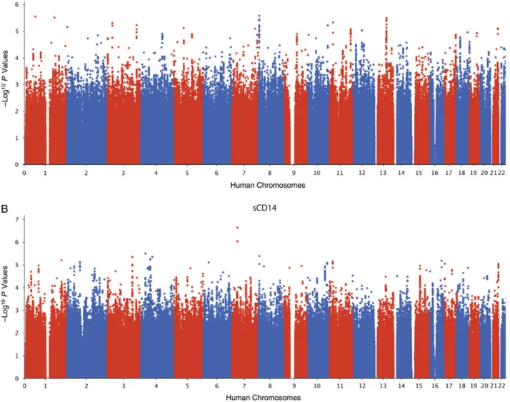 Figure 1. No single-nucleotide polymorphisms are signi ﬁ cantly associated with intestinal fatty acid – binding protein (I-FABP) or soluble CD14 (sCD14) plasma levels
